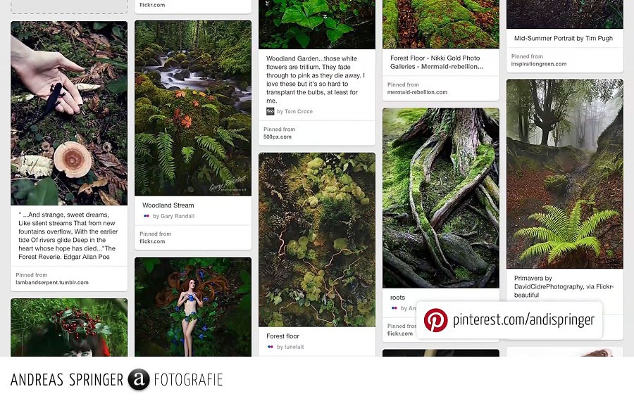 andreas-springer.com_mother-nature_behind-the-scenes_moodboard_pinterest
