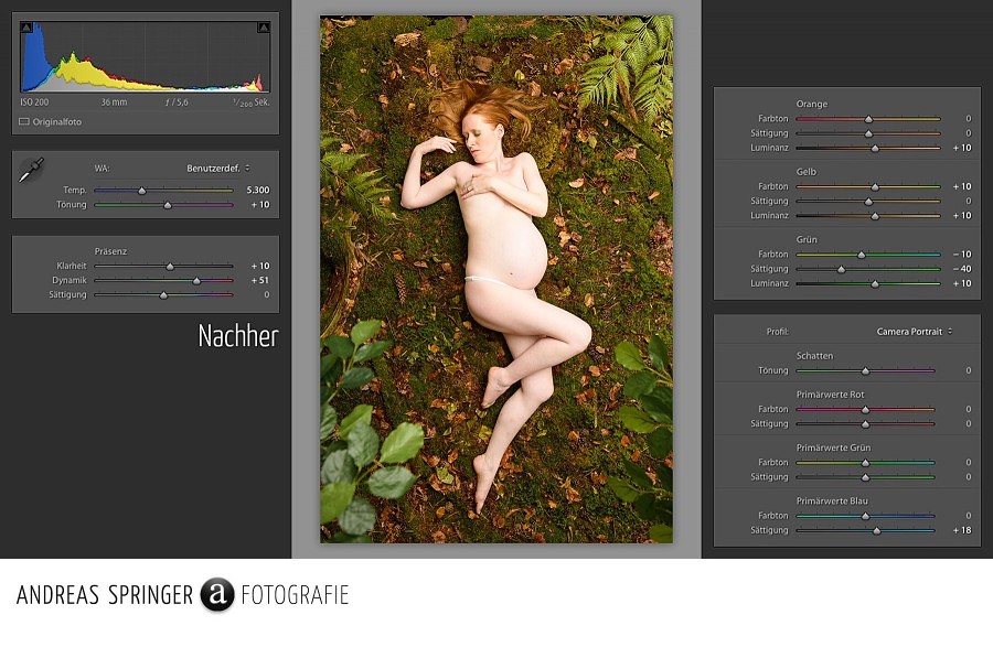 andreas-springer.com_mother-nature_behind-the-scenes_raw-entwicklung_lightroom_nachher