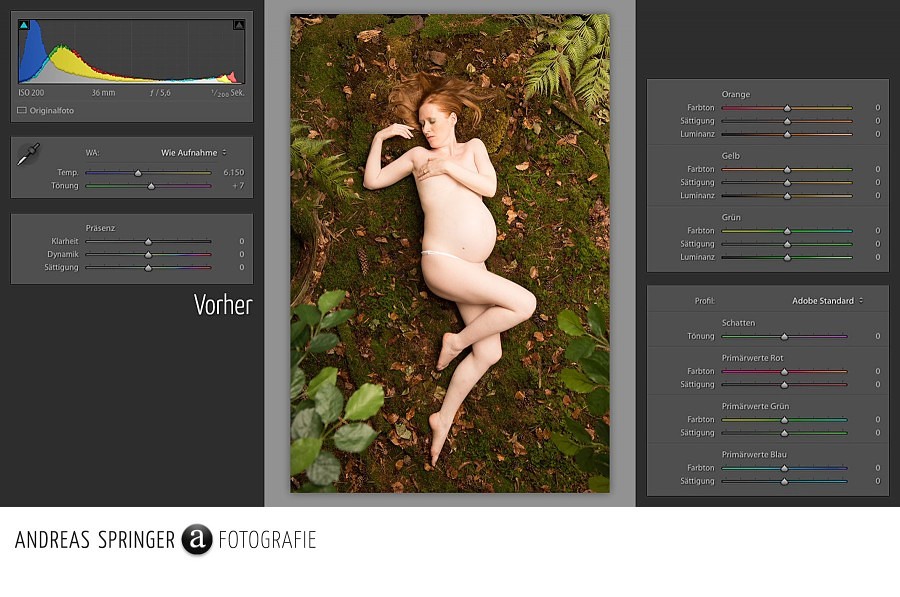 andreas-springer.com_mother-nature_behind-the-scenes_raw-entwicklung_lightroom_vorher